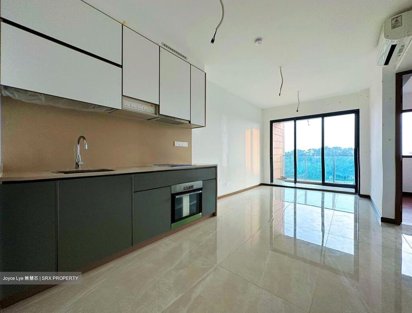 Normanton Park (D5), Apartment #502059001